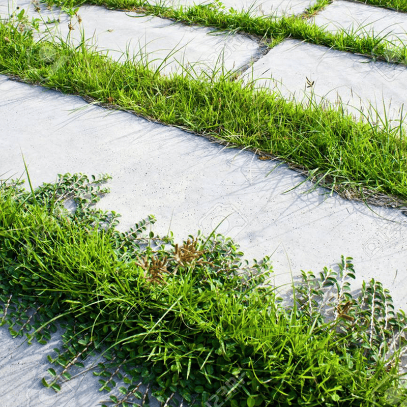 Ultimate Steel Trimmer Head for Effortless Weed Removal