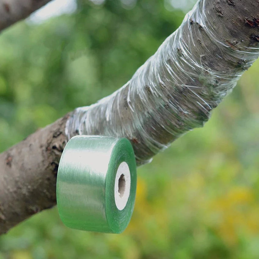 Self-Adhesive Grafting Tape for Plants