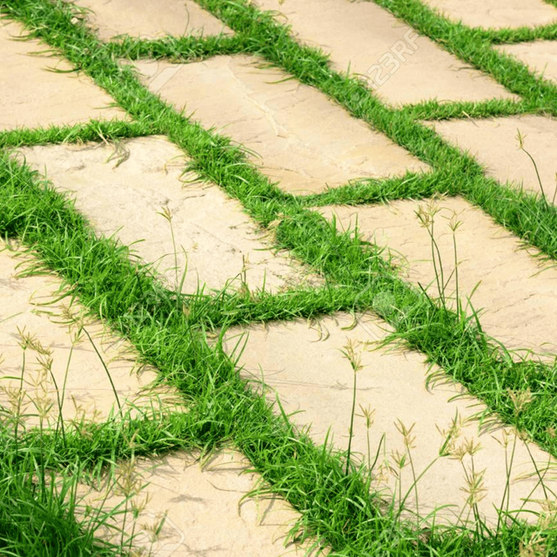 Ultimate Steel Trimmer Head for Effortless Weed Removal