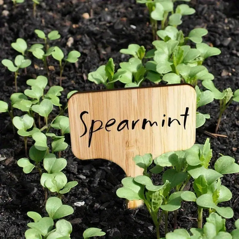 Reusable Wooden Plant Labels for Garden