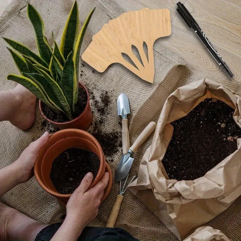 Reusable Wooden Plant Labels for Garden