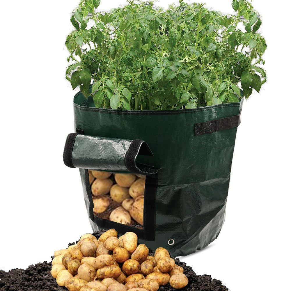 Reusable Potato Planting Bag with Window