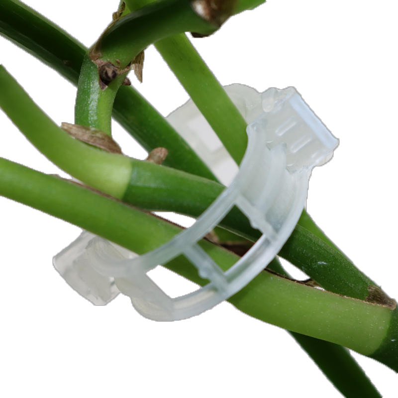 Flexible Plant Support Clips for Climbing Plants