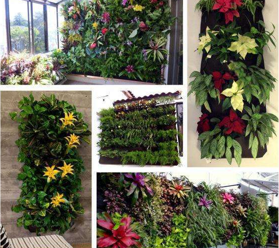 Vertical Garden Wall Planters for All Spaces