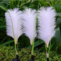 RATTANLUXE – Elegant Outdoor Garden Lighting