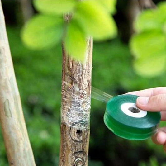 Self-Adhesive Grafting Tape for Plants