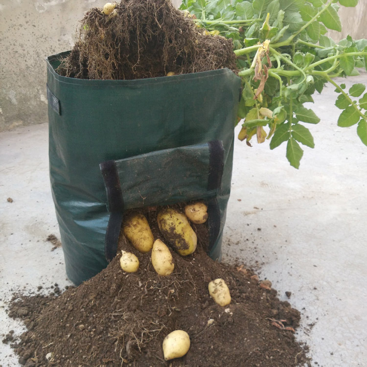 Reusable Potato Planting Bag with Window