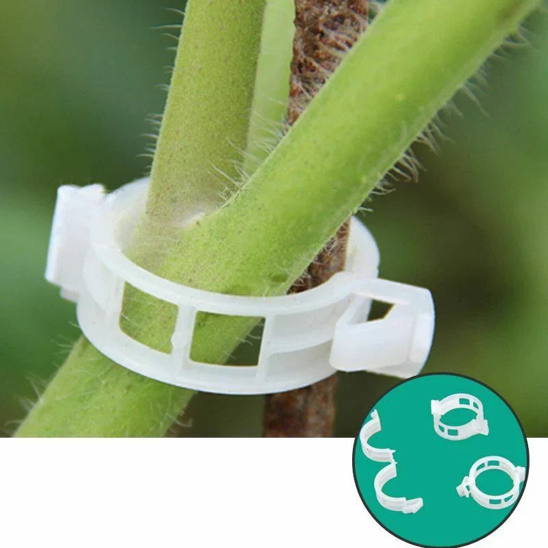 Flexible Plant Support Clips for Climbing Plants