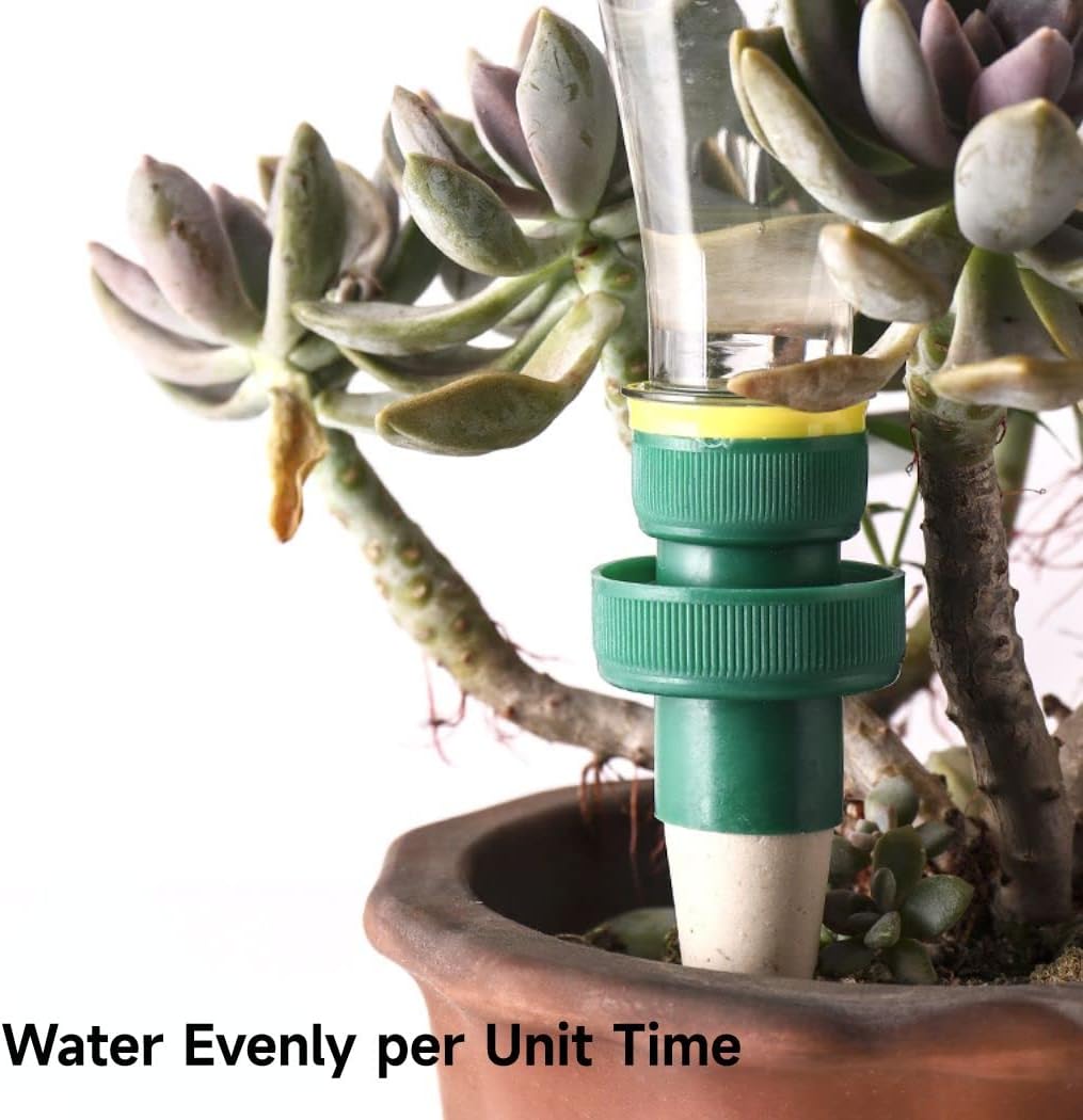 Effortless Self-Watering System for Plants
