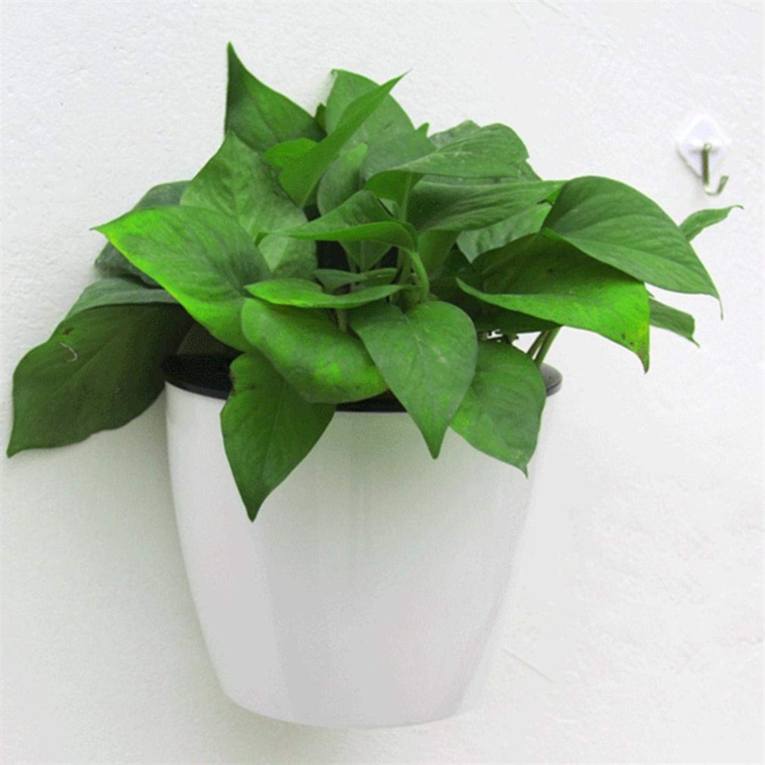 Effortless Self-Watering Wall-Mounted Plant Pot