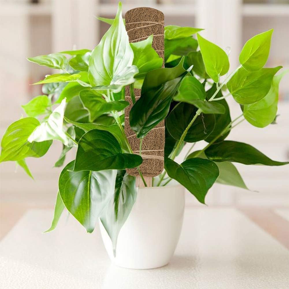 Eco-Friendly Coconut Moss Stick Support