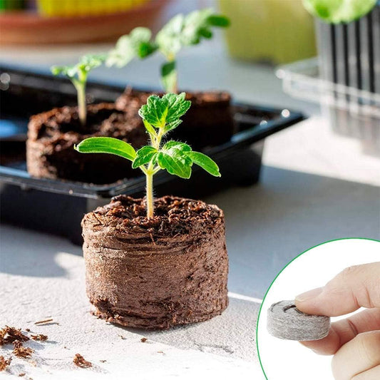 Eco-Friendly Coconut Fiber Seedling Pellets