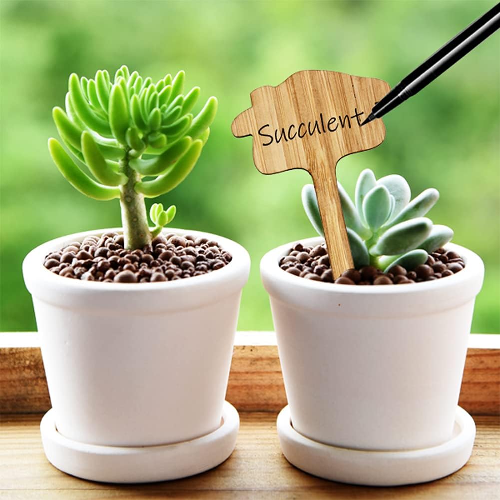 Reusable Wooden Plant Labels for Garden
