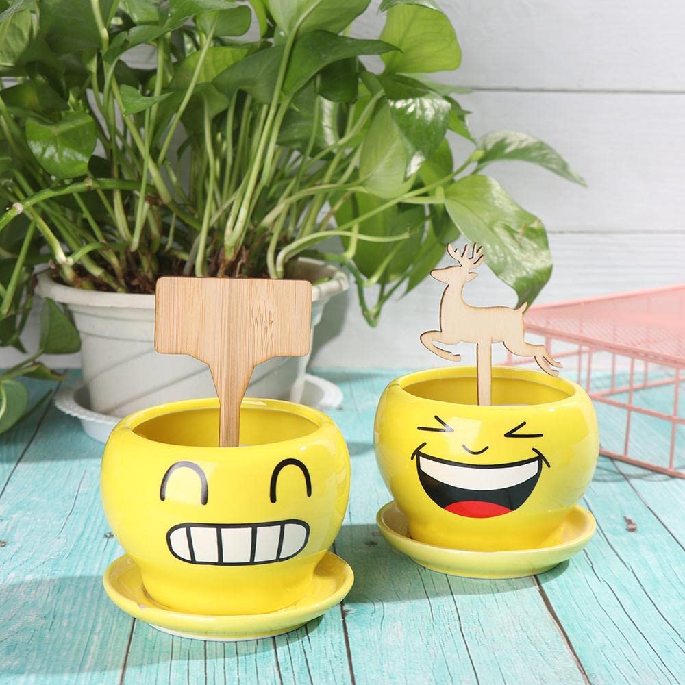 Reusable Wooden Plant Labels for Garden