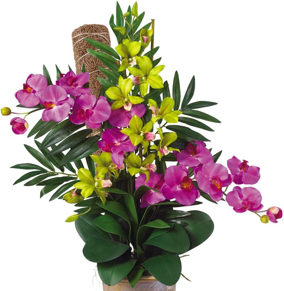 Eco-Friendly Coconut Moss Stick Support