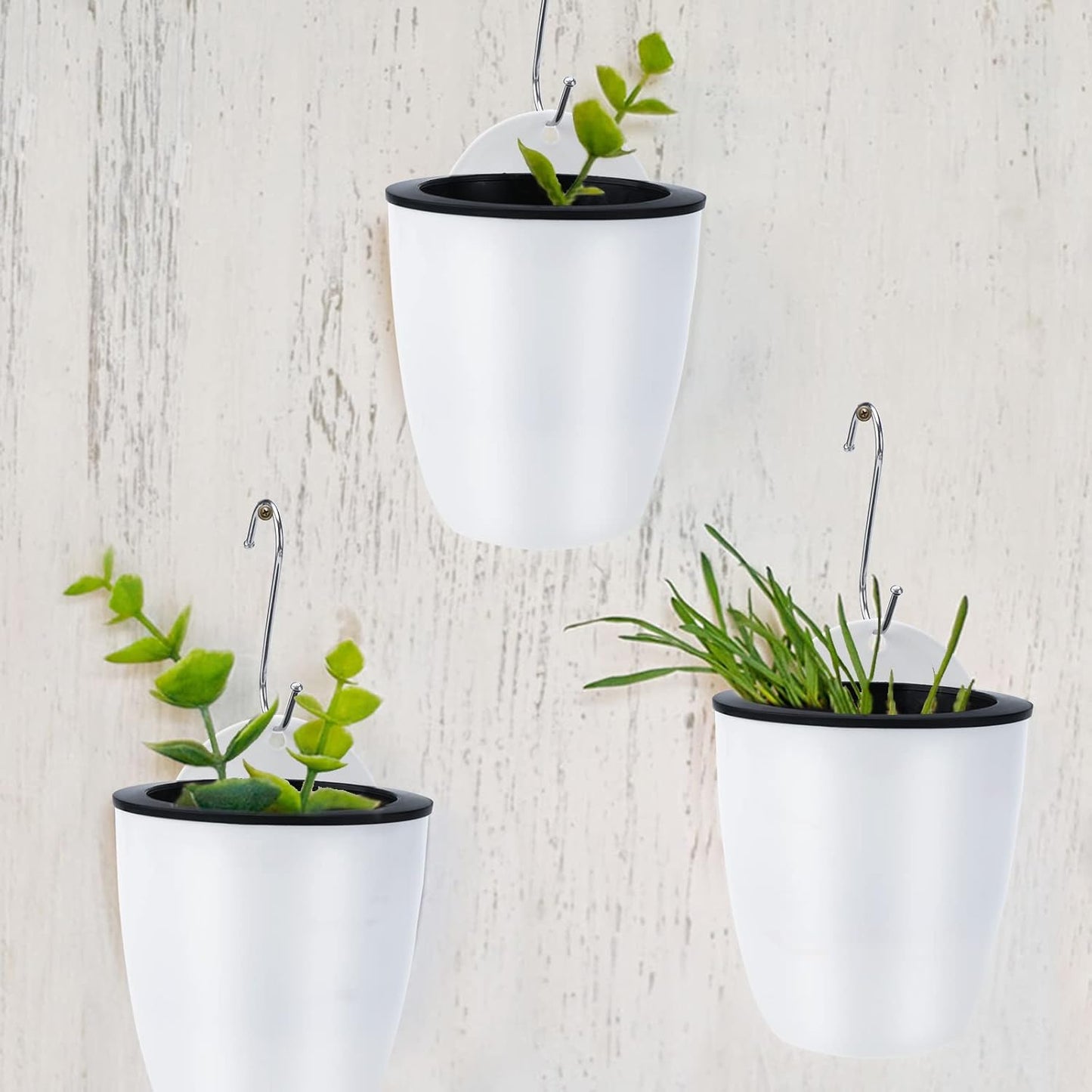 Effortless Self-Watering Wall-Mounted Plant Pot