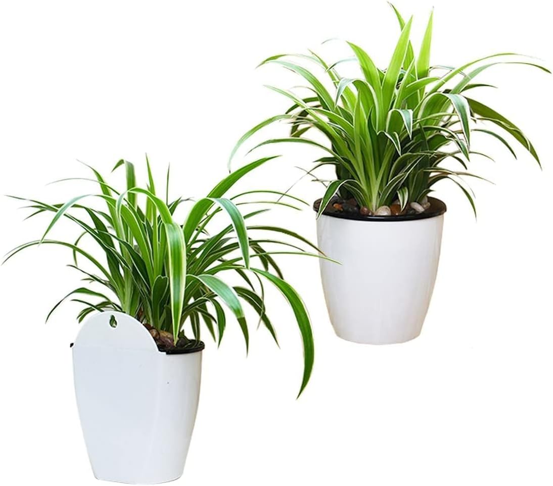Effortless Self-Watering Wall-Mounted Plant Pot