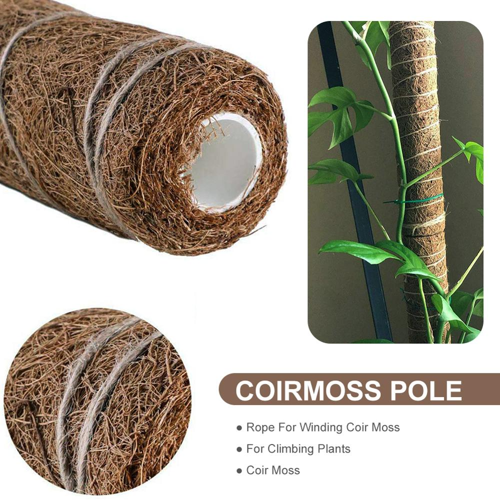 Eco-Friendly Coconut Moss Stick Support
