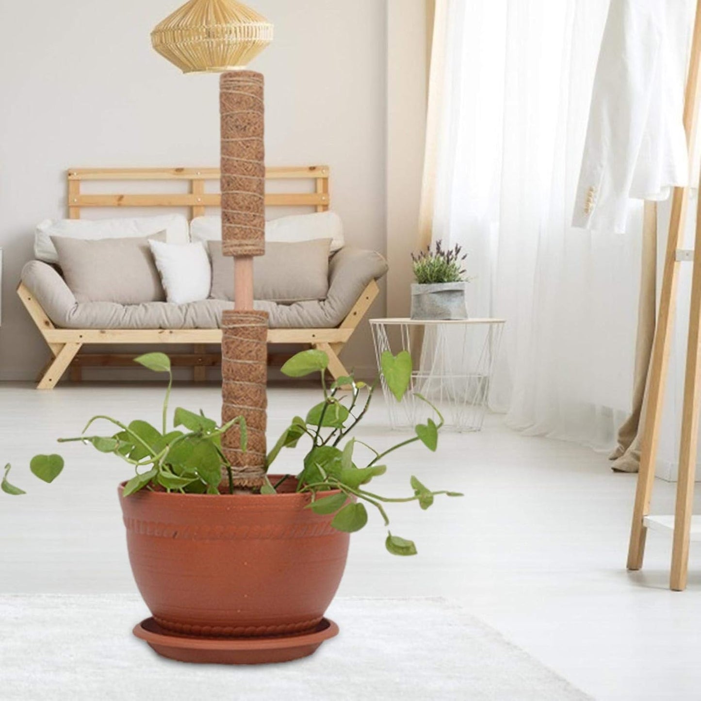 Eco-Friendly Coconut Moss Stick Support