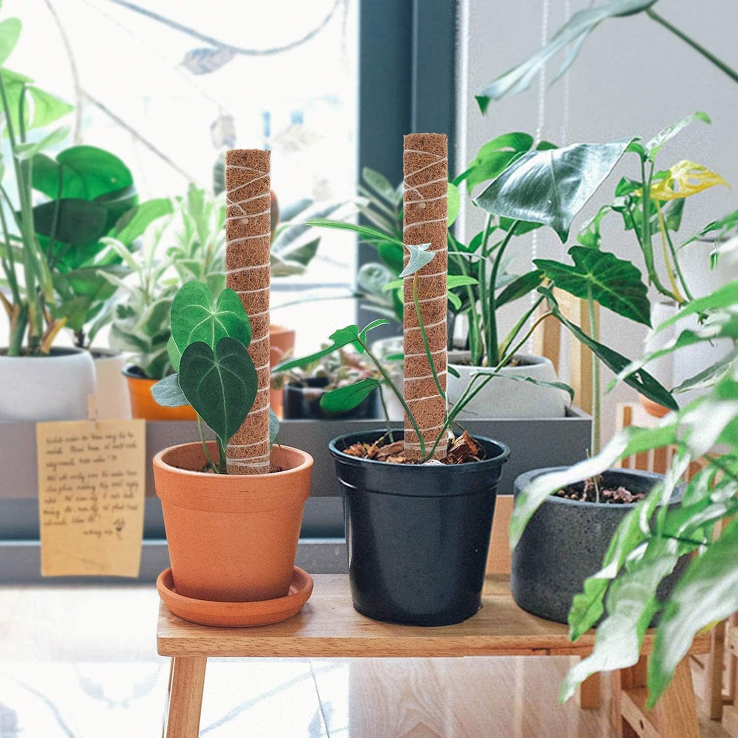 Eco-Friendly Coconut Moss Stick Support
