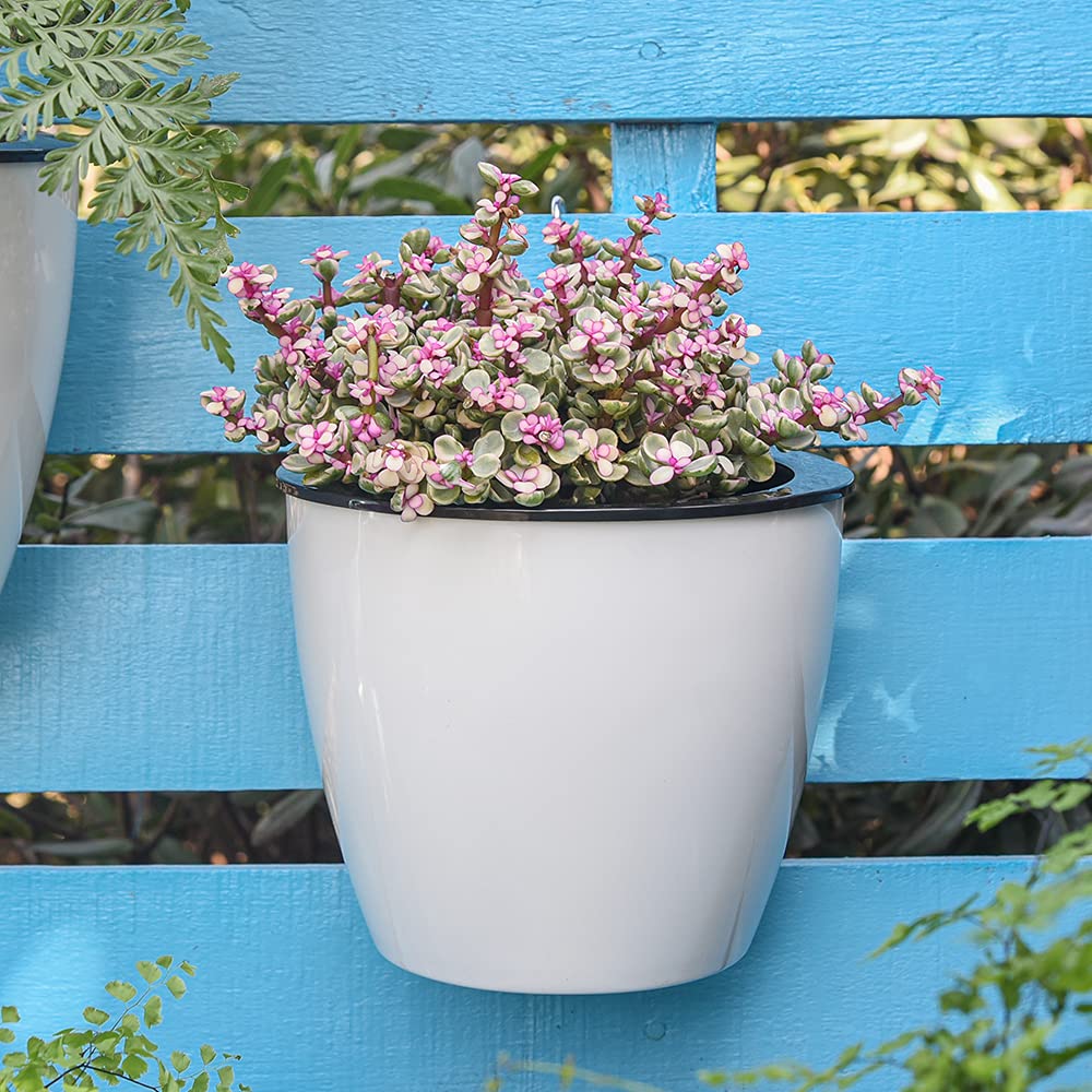 Effortless Self-Watering Wall-Mounted Plant Pot