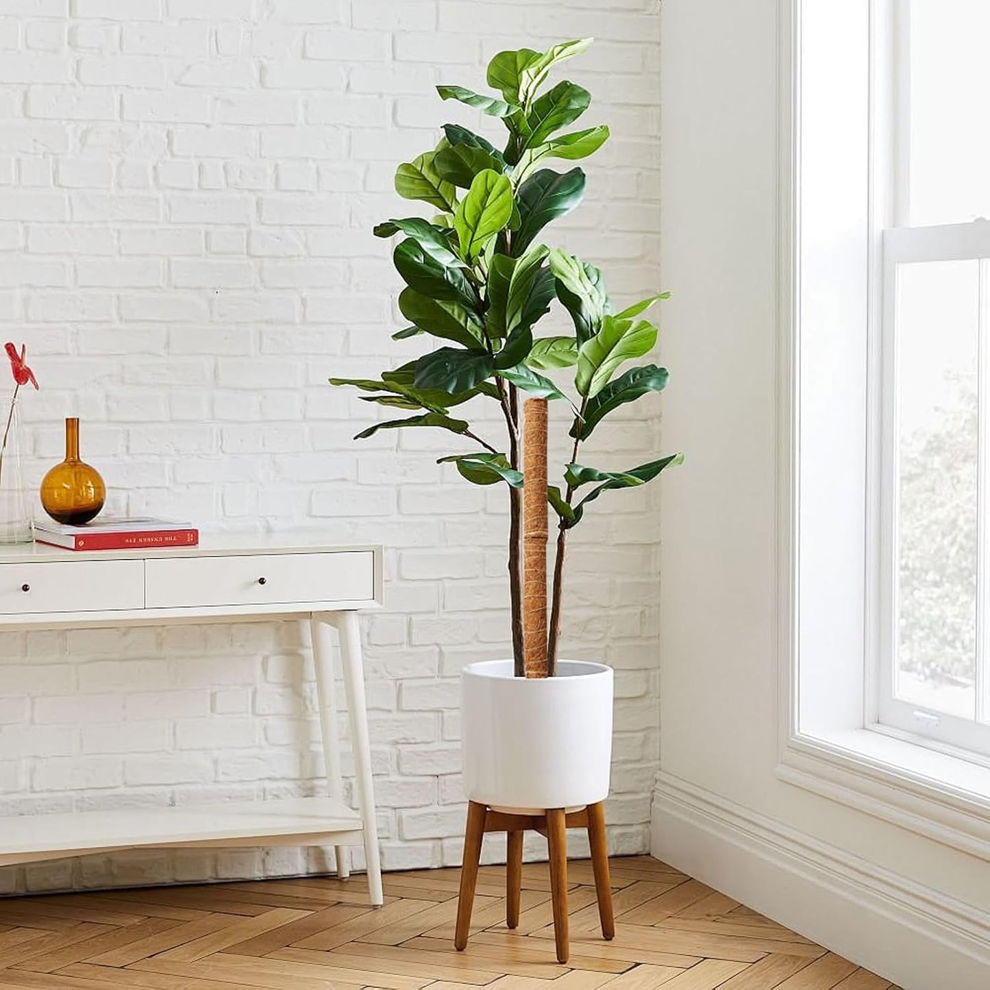 Eco-Friendly Coconut Moss Stick Support