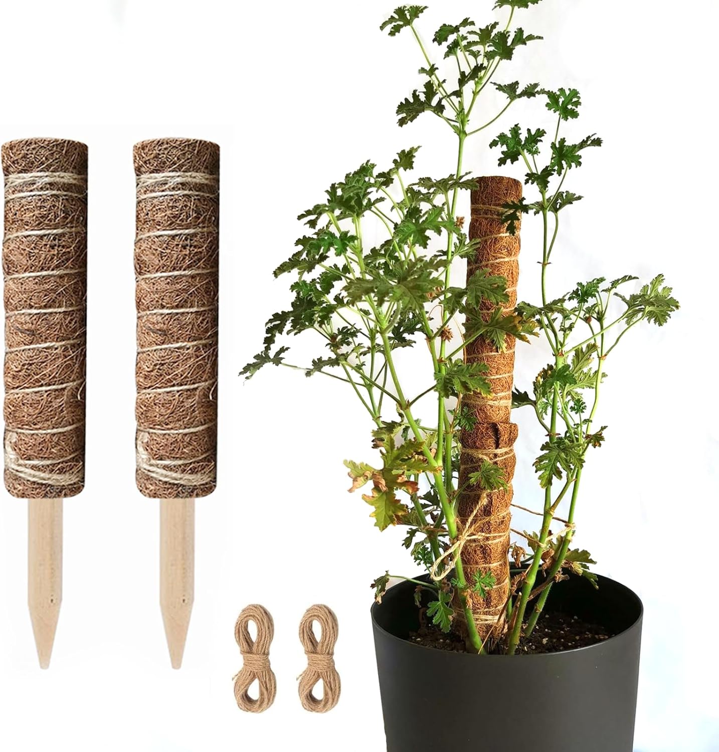 Eco-Friendly Coconut Moss Stick Support