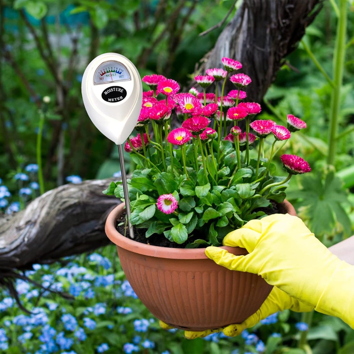 Accurate Soil Moisture Meter for Plants