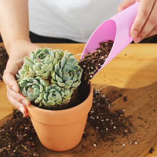 Ergonomic Plastic Planting Shovel for Easy Gardening