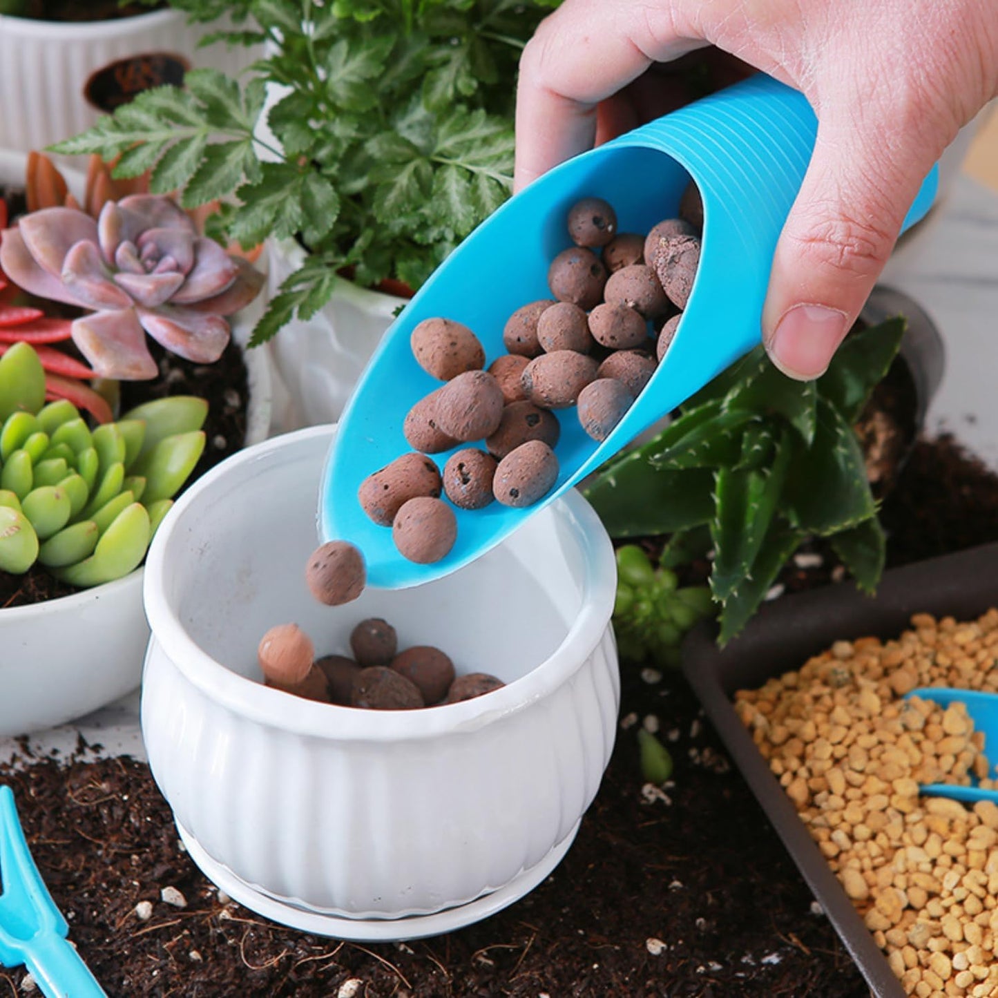 Ergonomic Plastic Planting Shovel for Easy Gardening