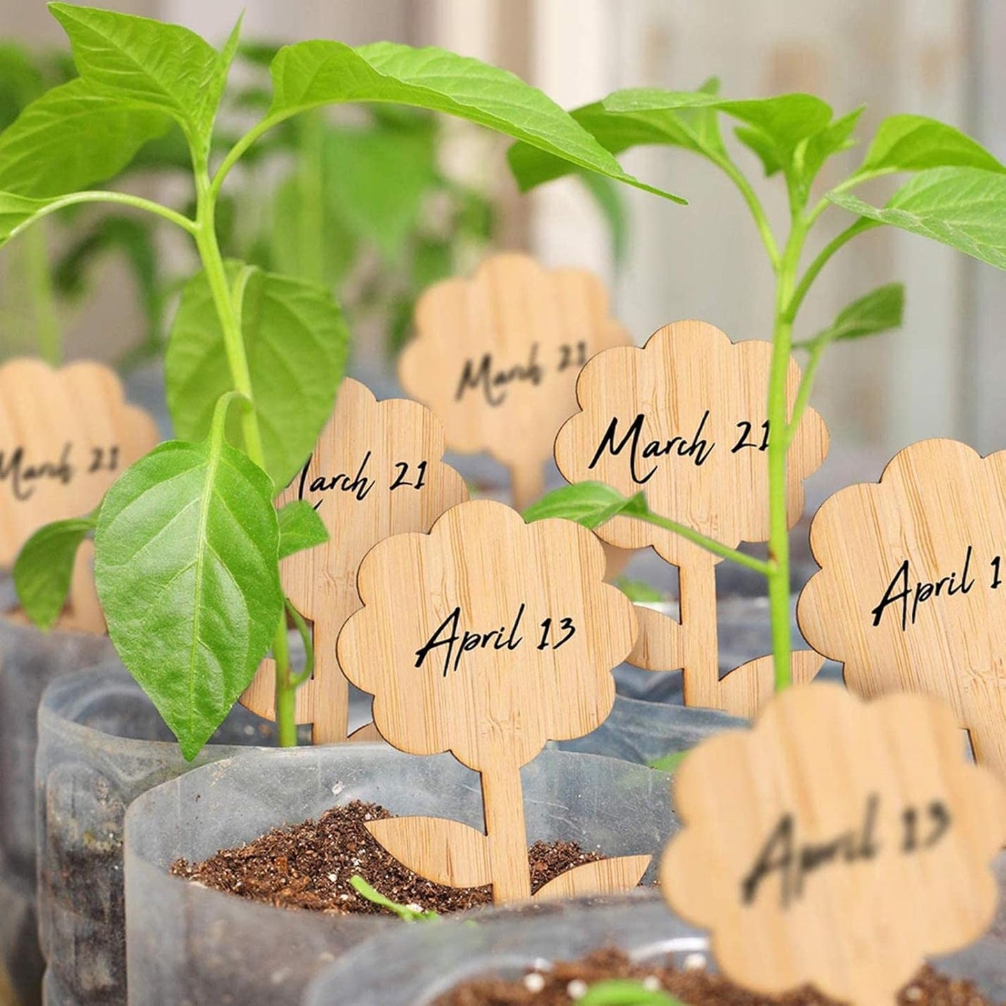 Reusable Wooden Plant Labels for Garden