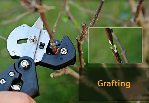 Precision Grafting Shears for Gardeners