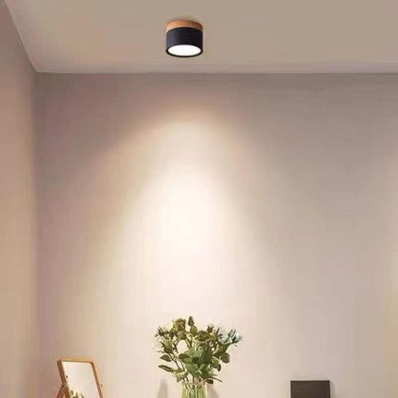 LUMINAIRE – Elegant Morandi LED Ceiling Light