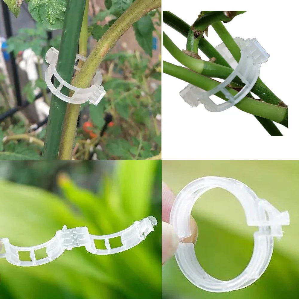 Flexible Plant Support Clips for Climbing Plants