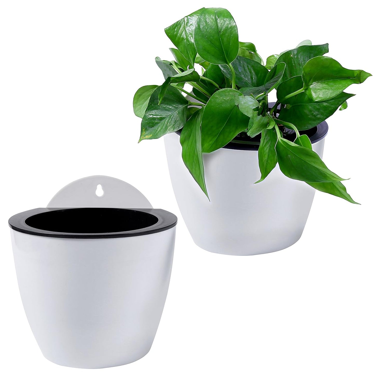 Effortless Self-Watering Wall-Mounted Plant Pot
