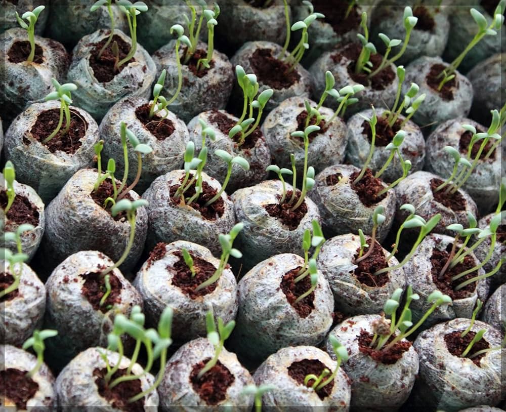 Eco-Friendly Coconut Fiber Seedling Pellets