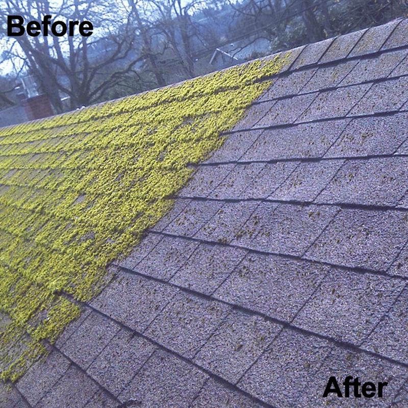 Ultimate Steel Trimmer Head for Effortless Weed Removal