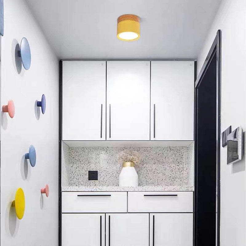 LUMINAIRE – Elegant Morandi LED Ceiling Light