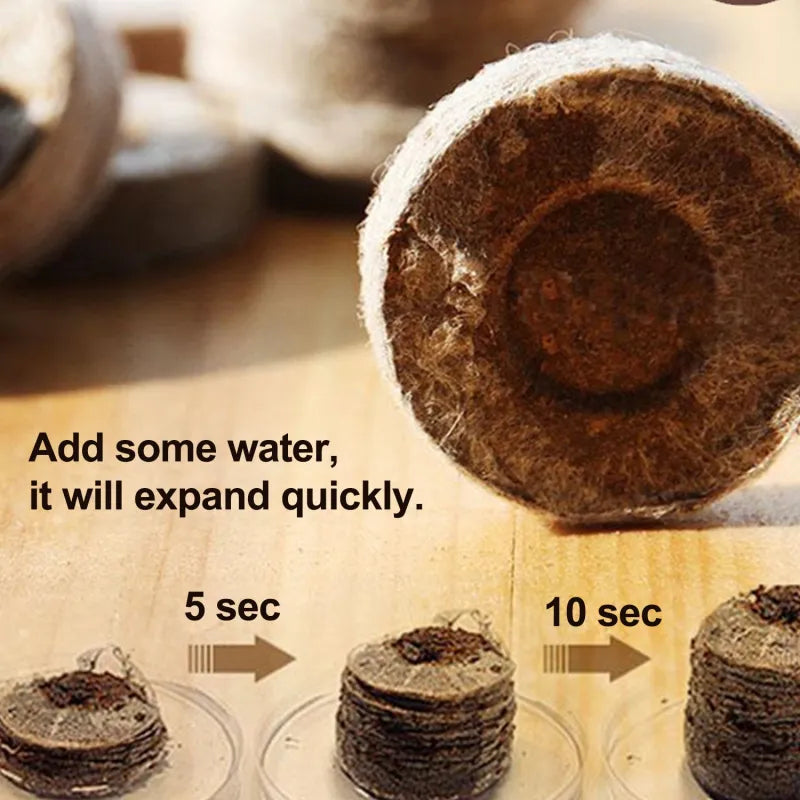 Eco-Friendly Coconut Fiber Seedling Pellets
