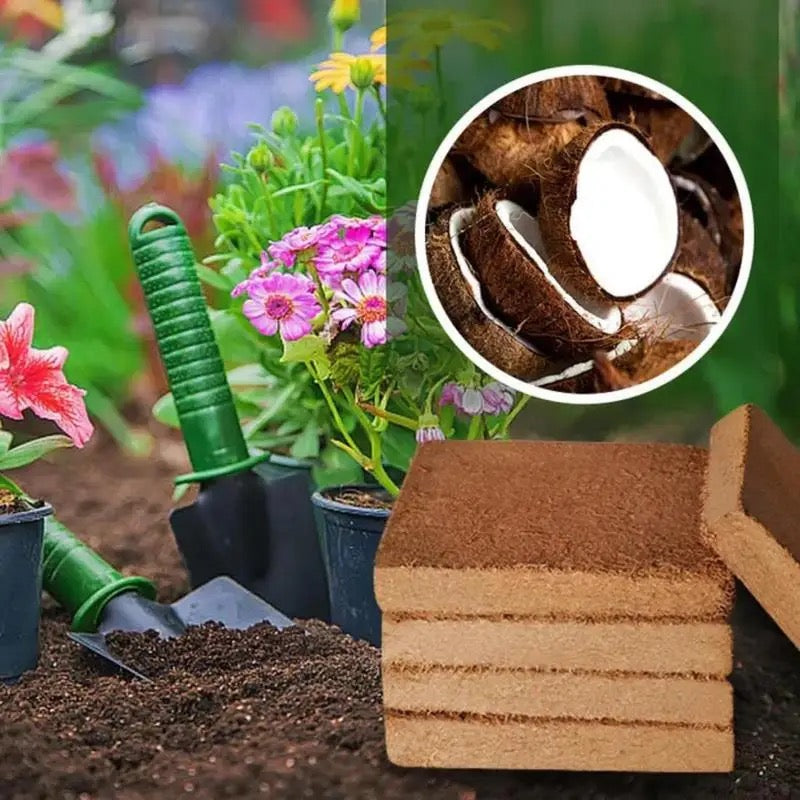 Premium Fertilized Coconut Soil for Thriving Plants