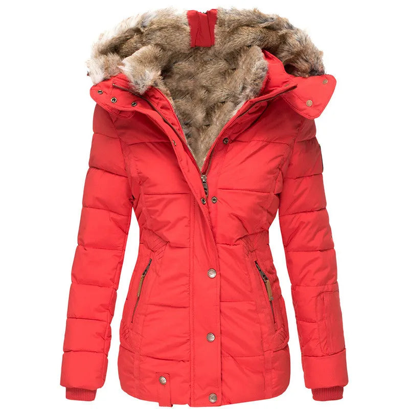 Elegant Women's Winter Jacket Collection