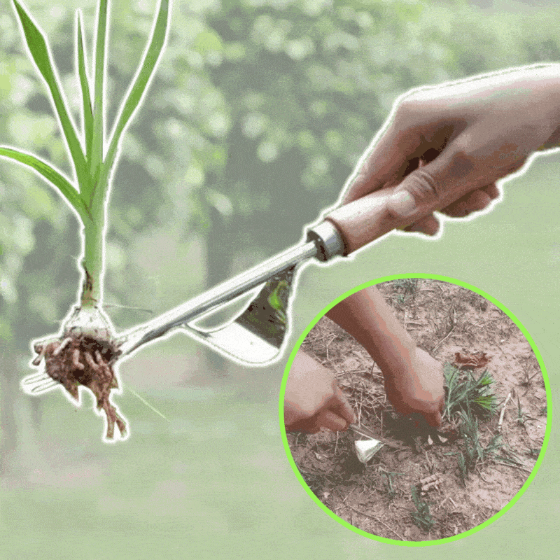 Effortless Weed Removal Tool