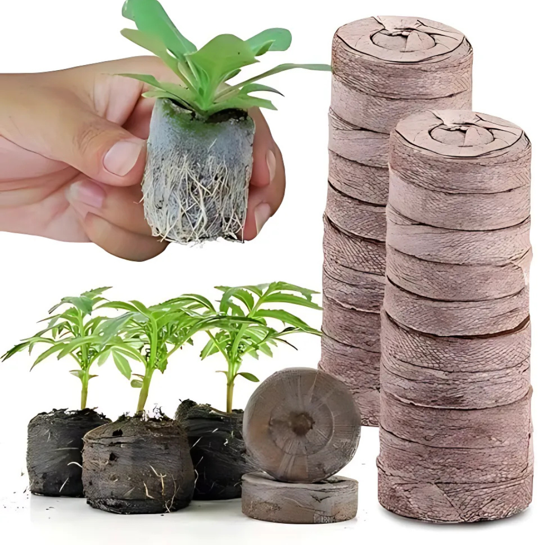 Eco-Friendly Coconut Fiber Seedling Pellets