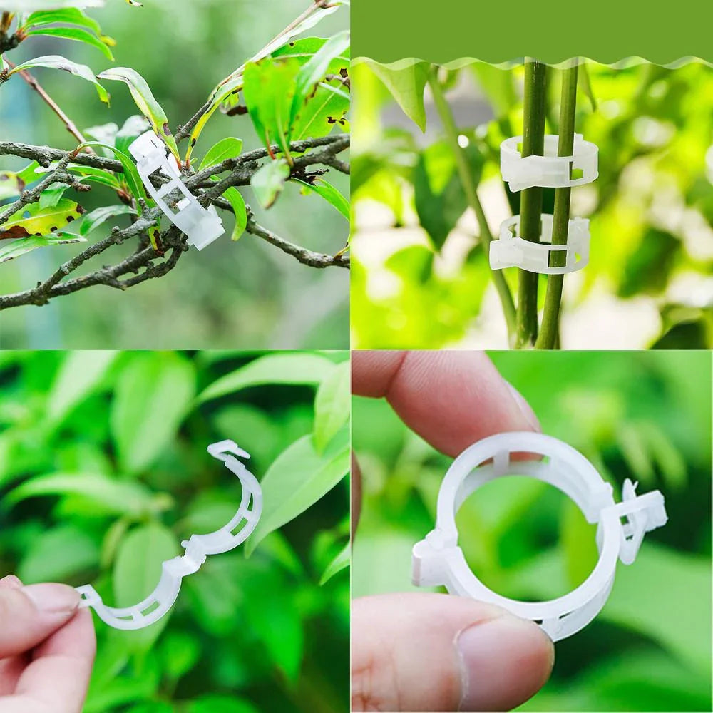 Flexible Plant Support Clips for Climbing Plants