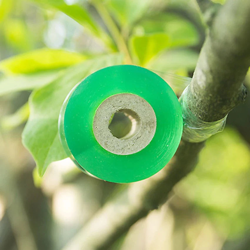 Self-Adhesive Grafting Tape for Plants