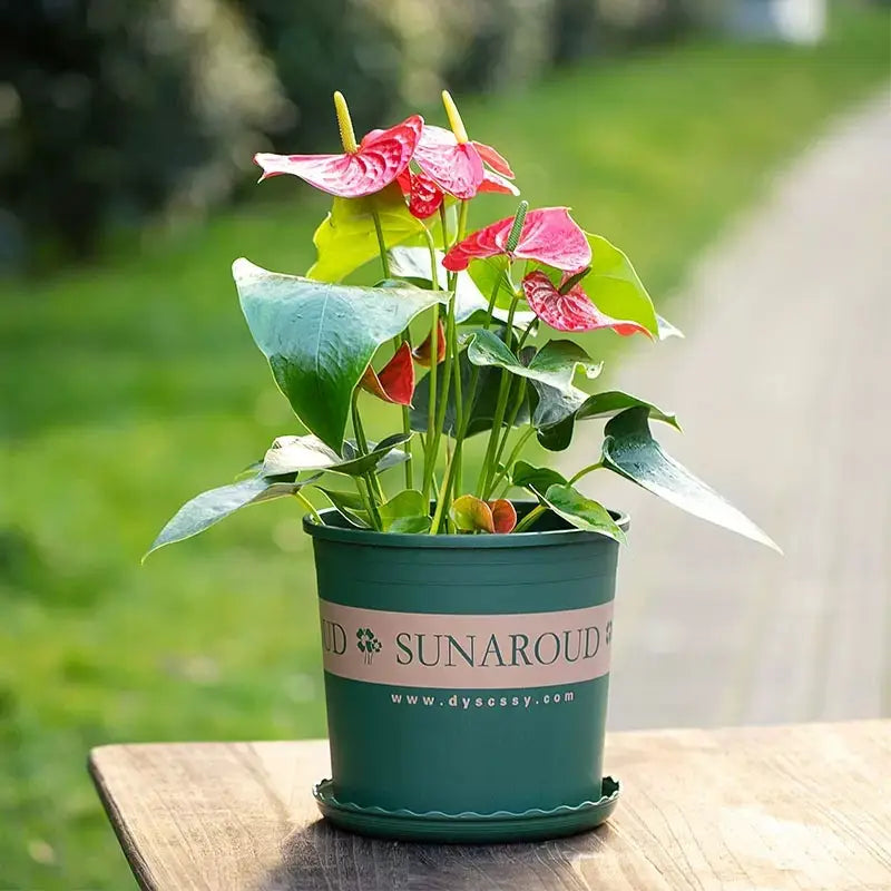 Durable Weatherproof Plastic Plant Pot