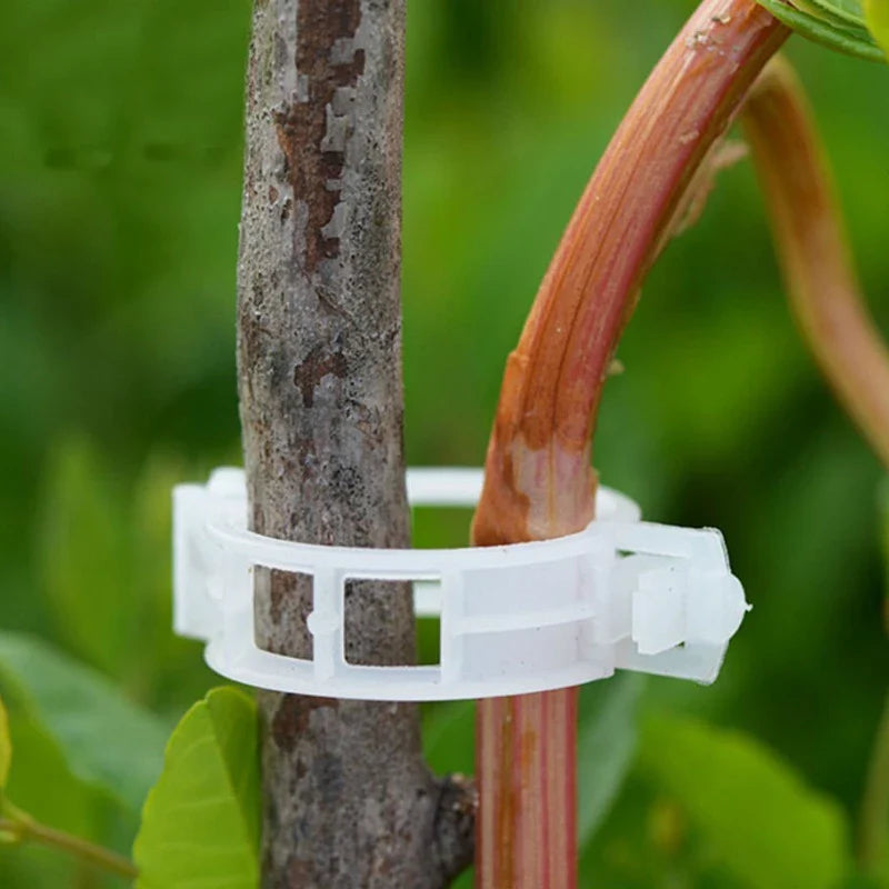 Flexible Plant Support Clips for Climbing Plants