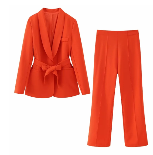 Elegant 2-Piece Women's Suit Set