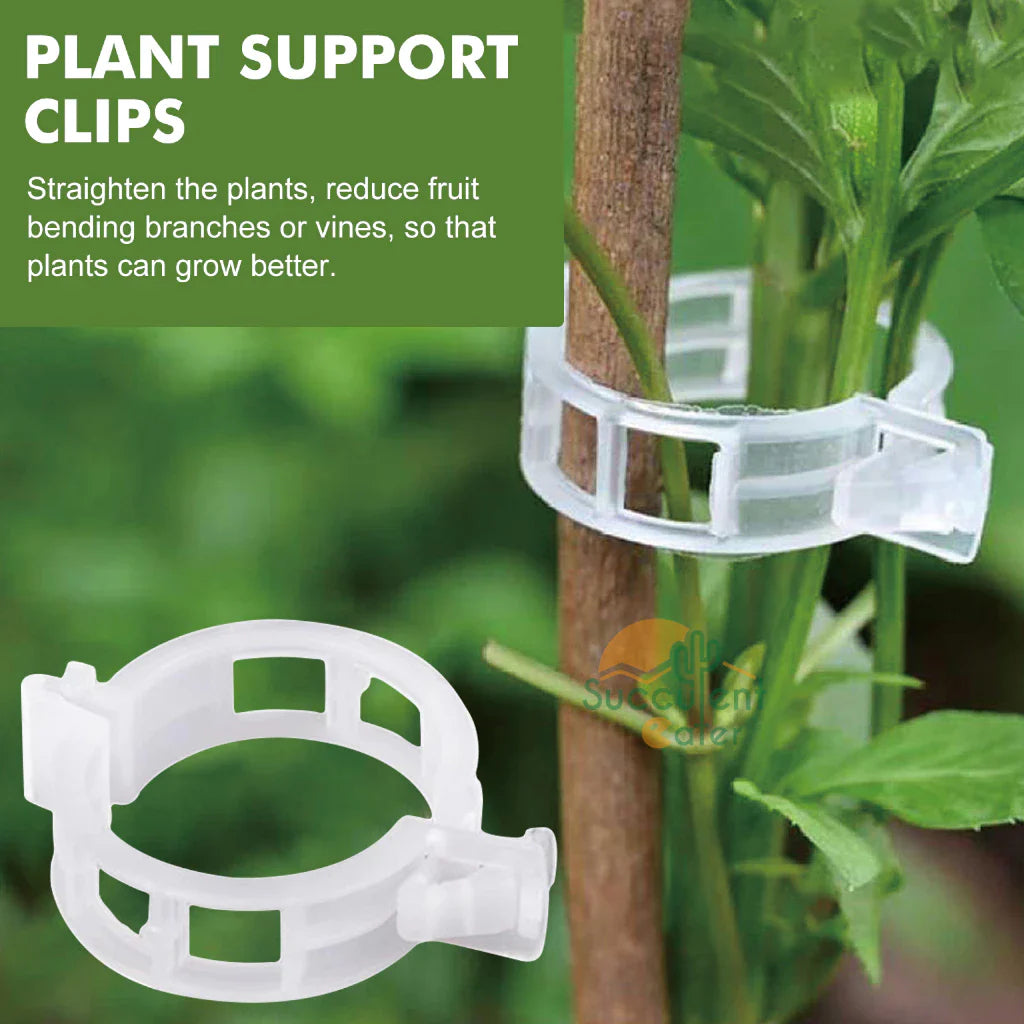 Flexible Plant Support Clips for Climbing Plants